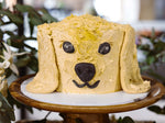 Cat, Dog and Pets Cake