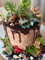 Dino/Safari/Army Cake