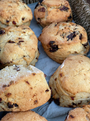 Scone Box