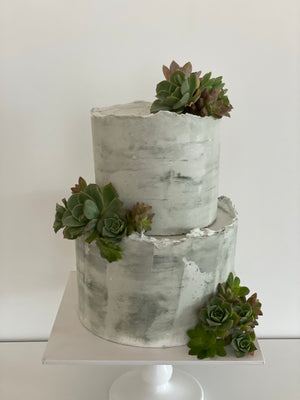 2 Tier Succulent Cake
