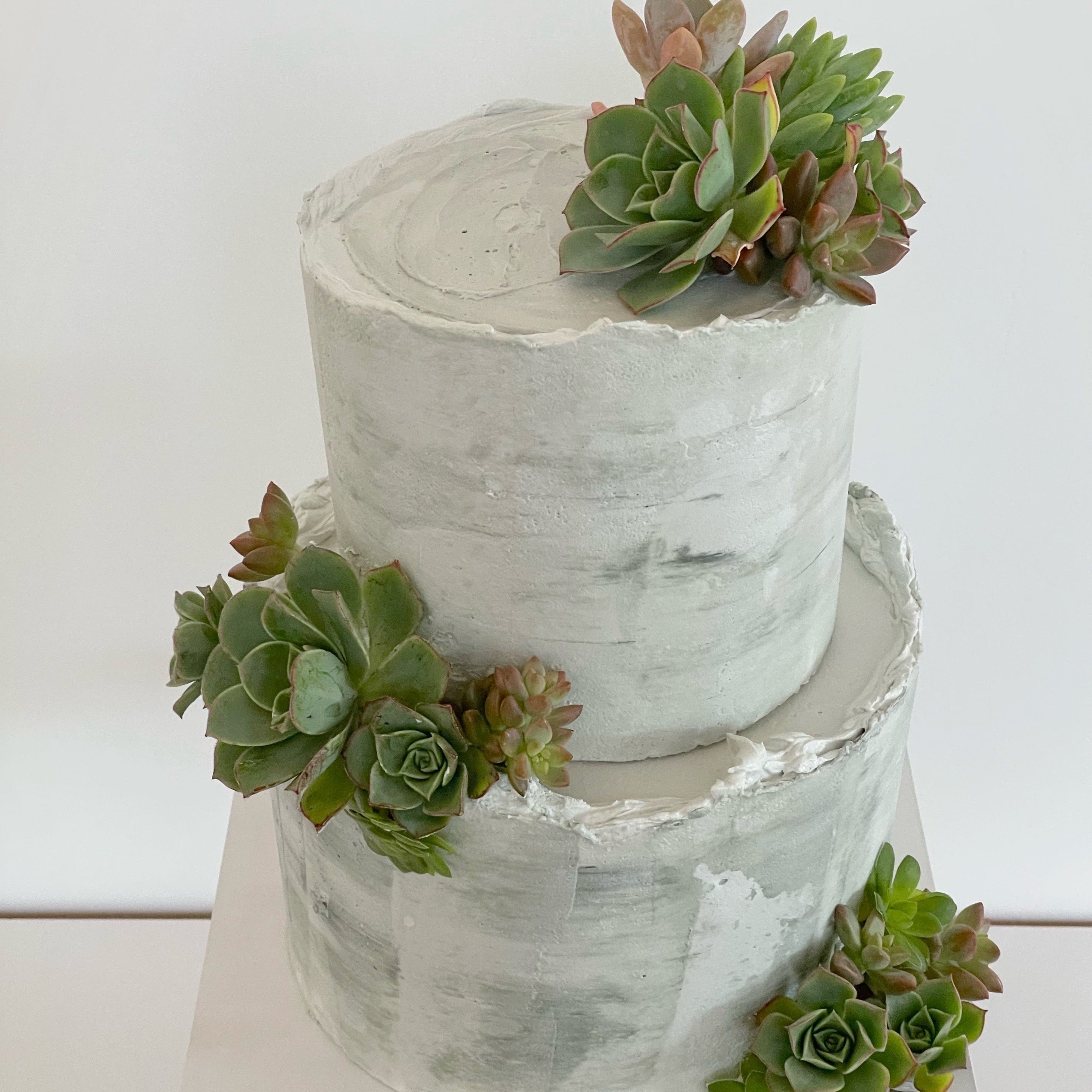 Succulent Cactus Cake – Rolling In Dough Bakery