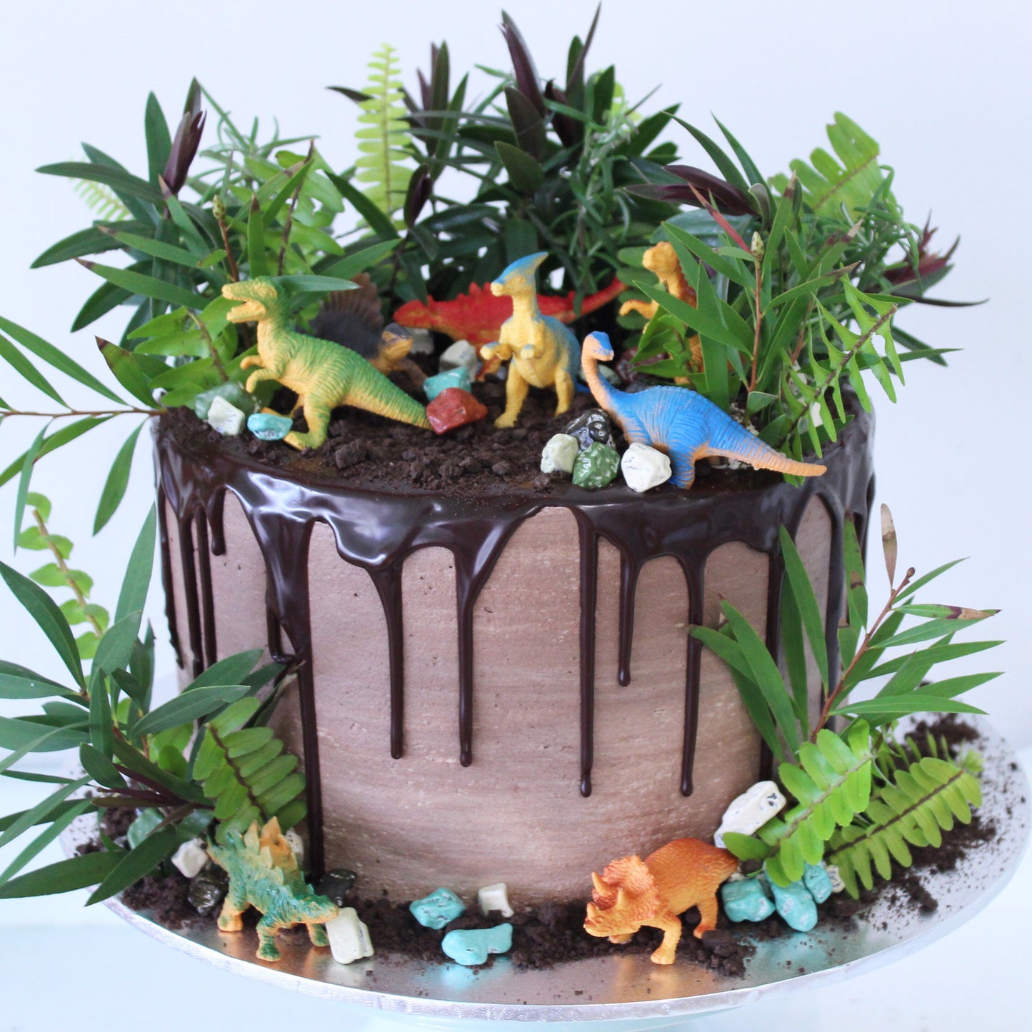 Dino/Safari/Army Cake